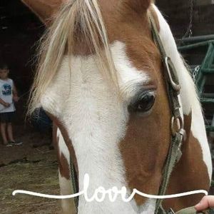 Meet your Posher, Allyn